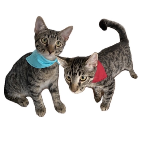 Reggie in Bowties | Monsters Inc. Disney Movie Print Bandana - Picture 10 of 11